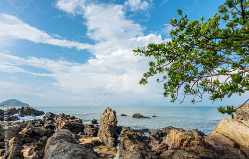 Sea view with rock and tree, tropical scenery