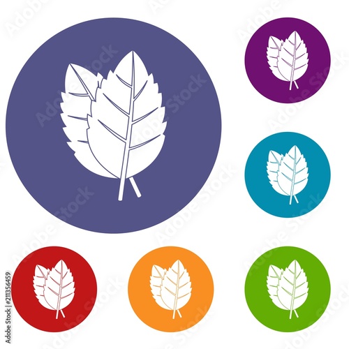 Two basil leaves icons set in flat circle red, blue and green color for web