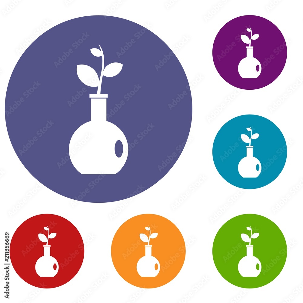 Plant in a vase icons set in flat circle red, blue and green color for web Plant in a vase icons set in flat circle red, blue and green color for web