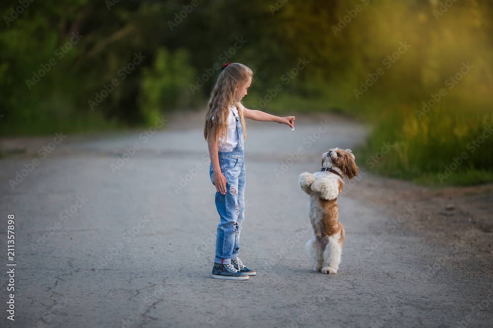 Fototapeta premium cute little girl is playing and training a little dog in the summer in the park