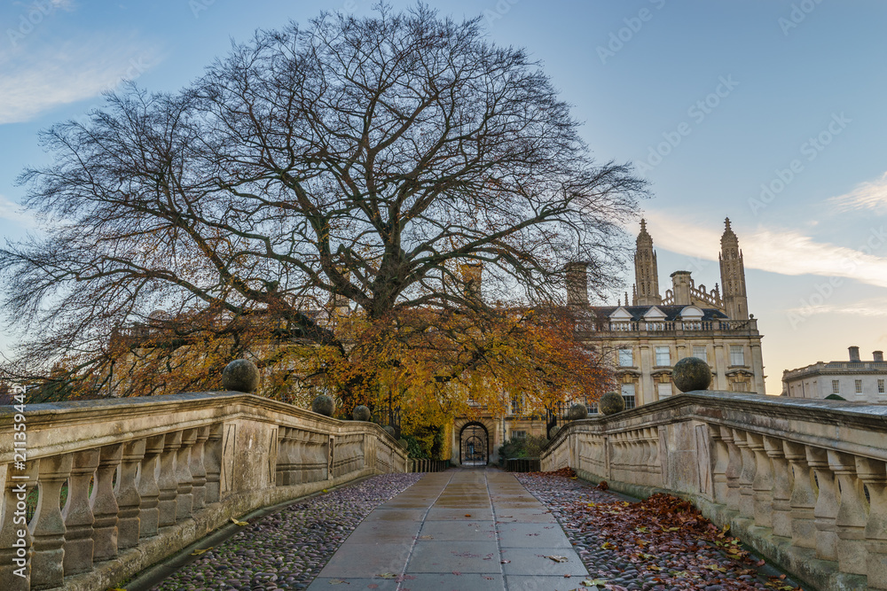 Path leading to Clare's college viewed in autumn