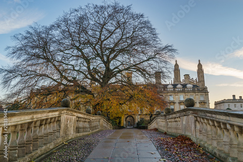 Path leading to Clare s college viewed in autumn