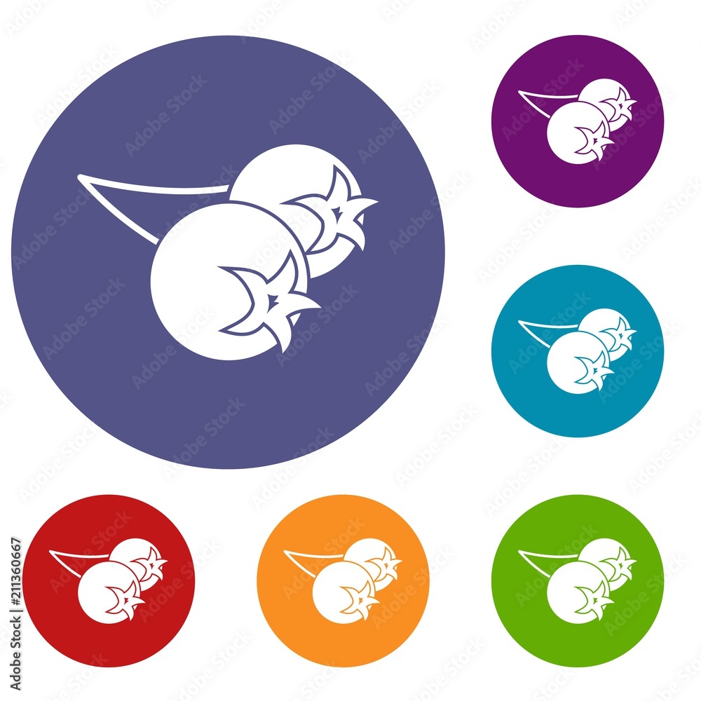 Chokeberry or aronia berry icons set in flat circle red, blue and green color for web Chokeberry or aronia berry icons set in flat circle red, blue and green color for web