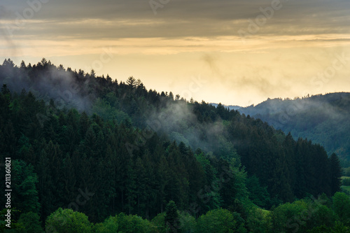 Black forest nature landscape in foggy sunset