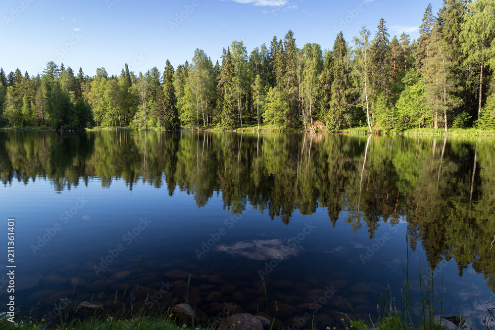 Beautiful view of a small lake Metsälampi and forest at the Aulanko nature reserve in Hämeenlinna, Finland, on a sunny day in the summer.