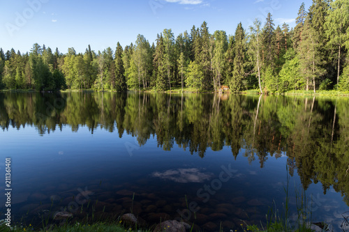 Beautiful view of a small lake Metsälampi and forest at the Aulanko nature reserve in Hämeenlinna, Finland, on a sunny day in the summer. © tuomaslehtinen