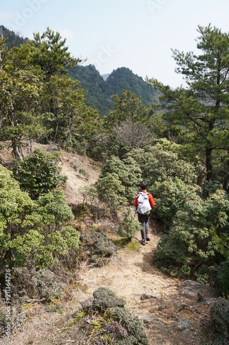 油日岳トレイル