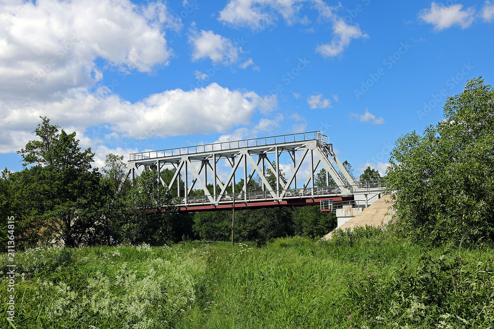 Obraz premium bridge in the forest