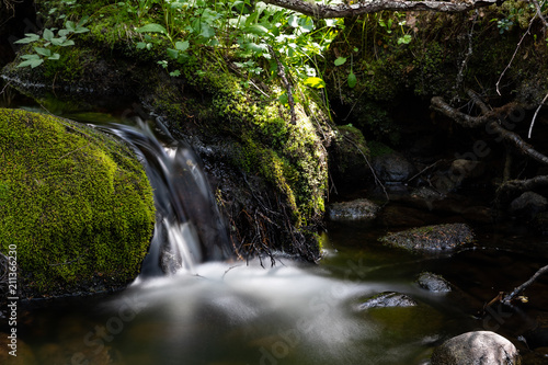 Small spring in a forest in Finland.