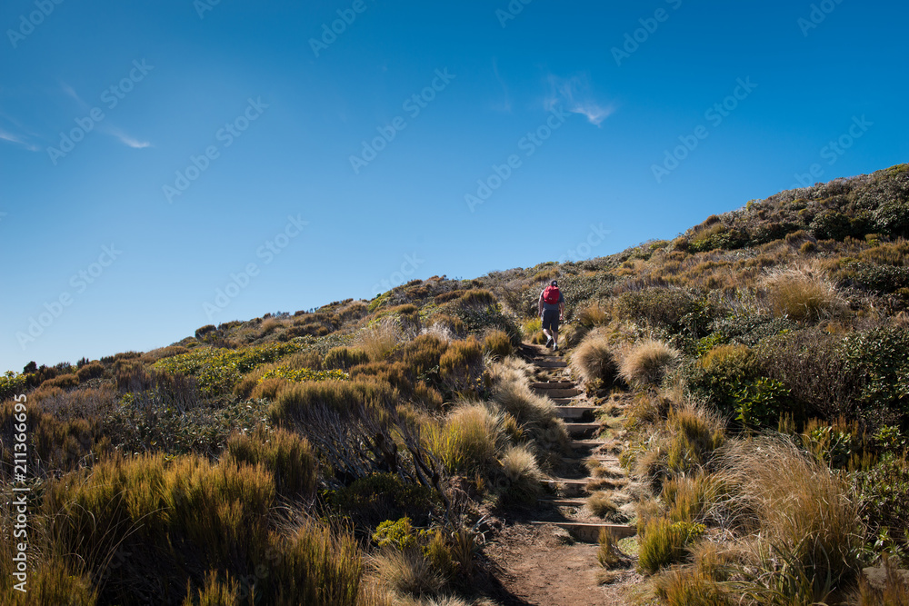 Hiking Pouakai Track in Egmont National Park, Taranaki New Zealand
