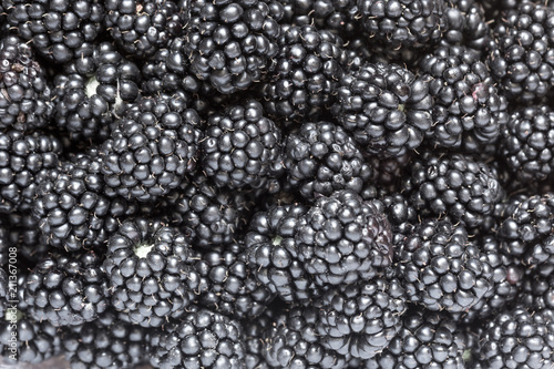 Pattern of freshly picked blackberries. Concept for healthy eating and nutrition.