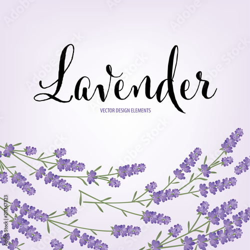Floral frame with autumn lavender flowers on white background template. Vector set of blooming floral for holiday invitations, greeting card and fashion design.