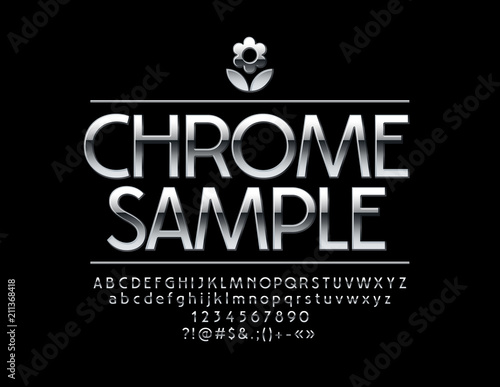 Vector Silver Letters. Reflective Metallic Font. Chrome Alphabet, Numbers and Symbols