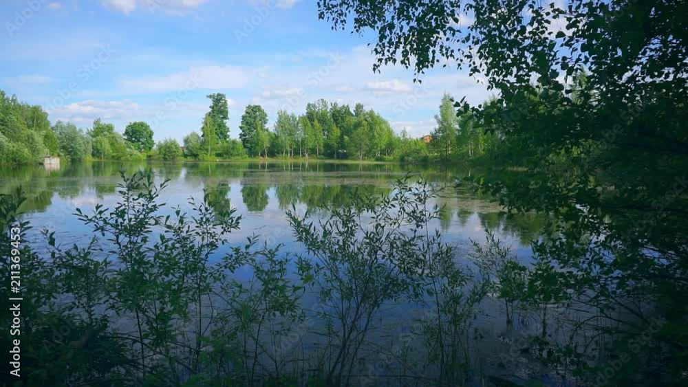 picturesque forest lake on a summer sunny day picturesque forest lake on a summer sunny day