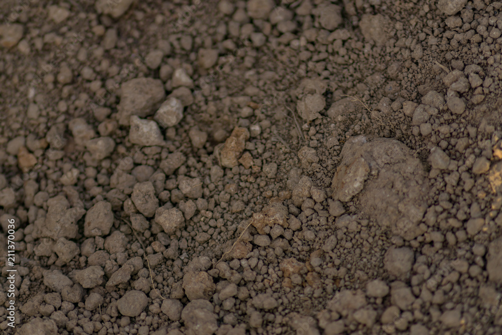 close up of soil background. close up of soil background.