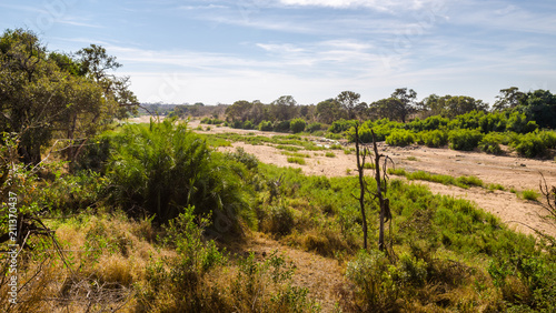 Olifants river landscape savannah, Kruger park, South africa