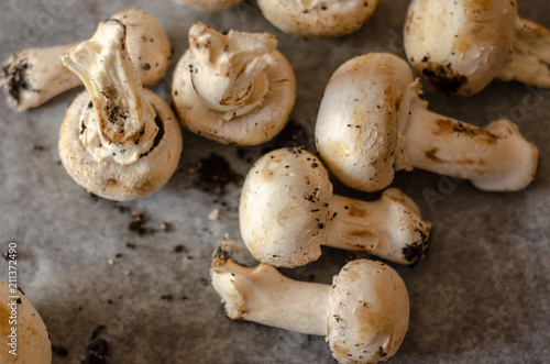 freshly harvested dirty mushrooms spread on paper, raw and healthy vegetables