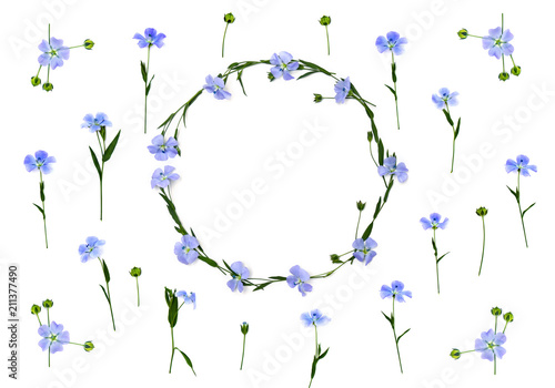 Wreath of flowers and capsules with seed flax   Linum usitatissimum  common flax or linseed   on a white background with space for text. Top view  flat lay