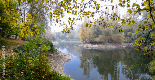 Autumn, misty morning in the park, a pond around which the trees grow. Stony shore.