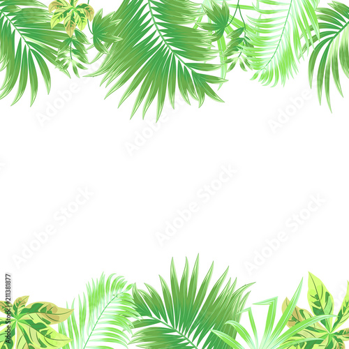 Tropical jungle vector background  frame with palm tree and leaves.