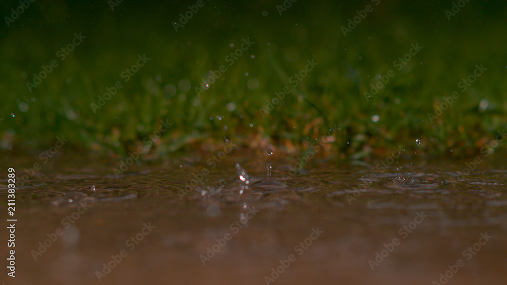 DOF: Crystal clear raindrops falling into murky puddle create a beautiful ripple DOF: Crystal clear raindrops falling into murky puddle create a beautiful ripple