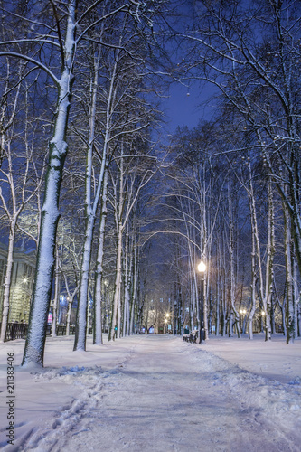 winter, night in a winter city, winter city, winter in a park, snow