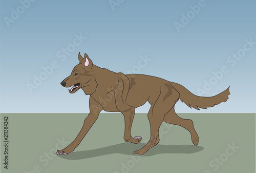 dog running  color  vector