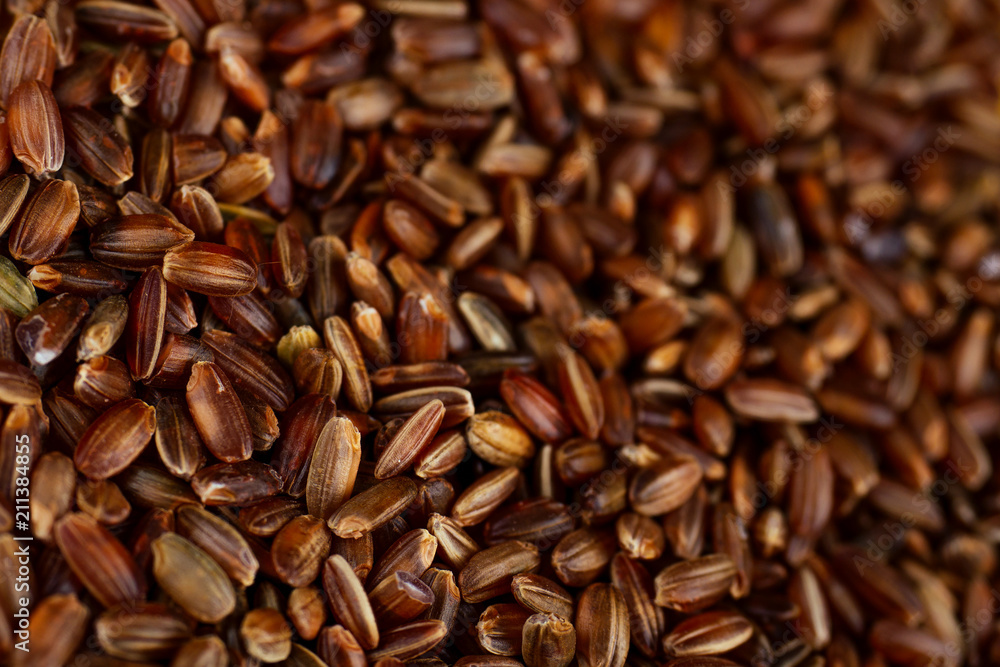 the texture of the black rice closeup for background the texture of the black rice closeup for background