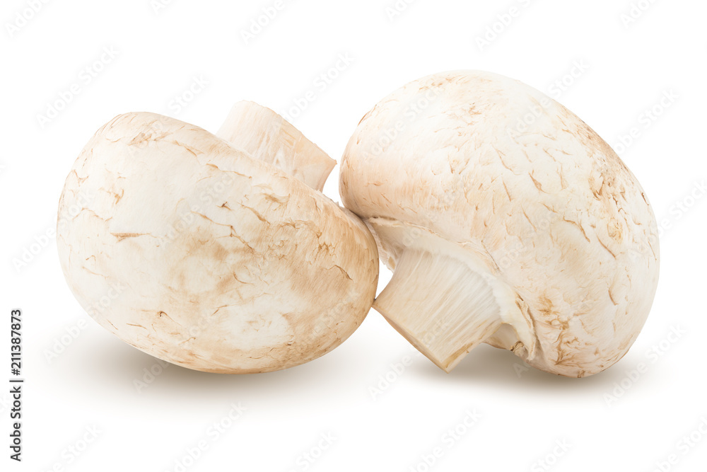 mushroom, champignon, isolated on white background, clipping path, full depth of field mushroom, champignon, isolated on white background, clipping path, full depth of field