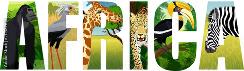 vector Africa illustration with giraffe, gorilla, leopard, secretary-bird, zebra and great hornbill