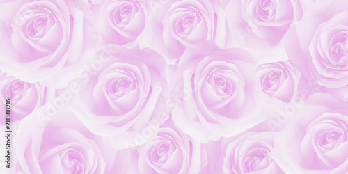 Artistic sweet beautiful soft pink roses texture background style for Valentine's day and love symbol for wedding celebration.