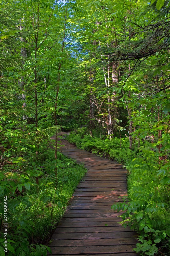 Path Path