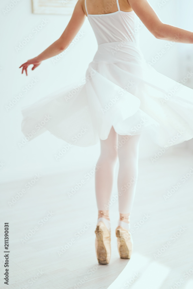 Beautiful ballerina is posing and dancing in a white studio full of light. The photo greatly reflects the incomparable beauty of a classical ballet art. Beautiful ballerina is posing and dancing in a white studio full of light. The photo greatly reflects the incomparable beauty of a classical ballet art.
