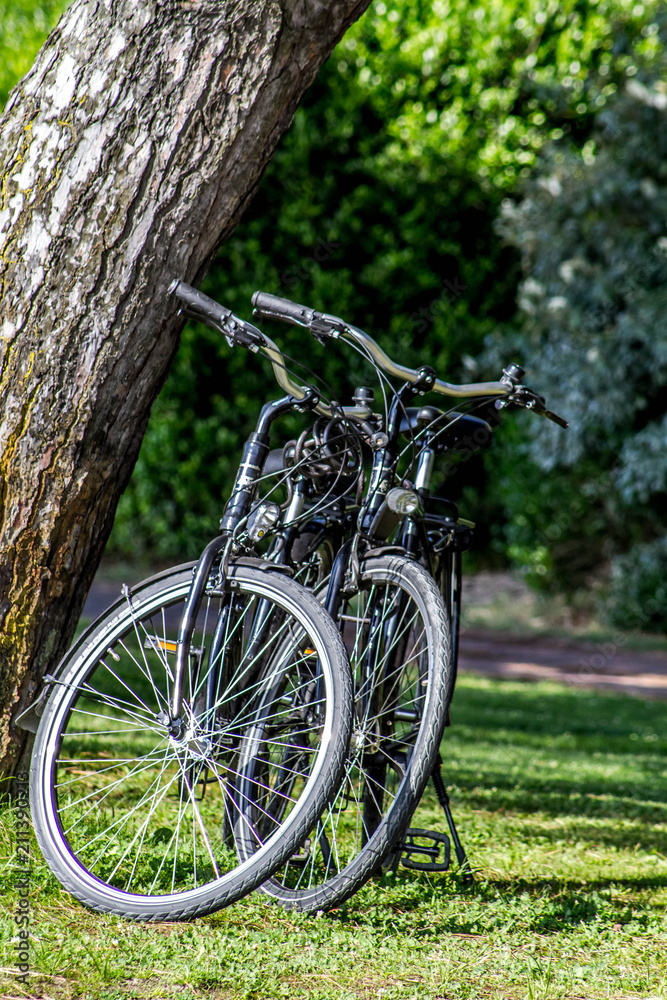 bicyclette dans un parc