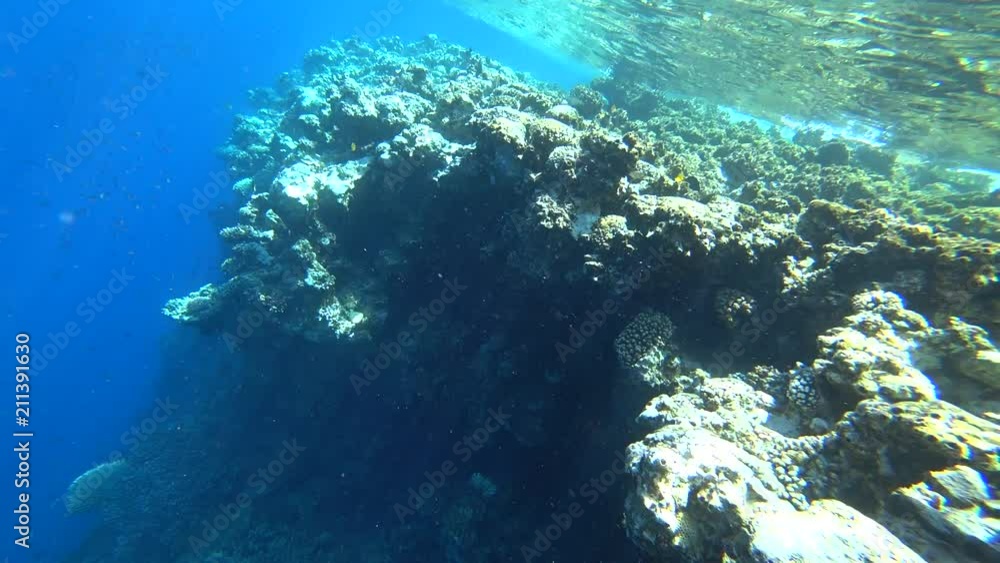 Nurkowanie Dahab Nurkowanie Dahab