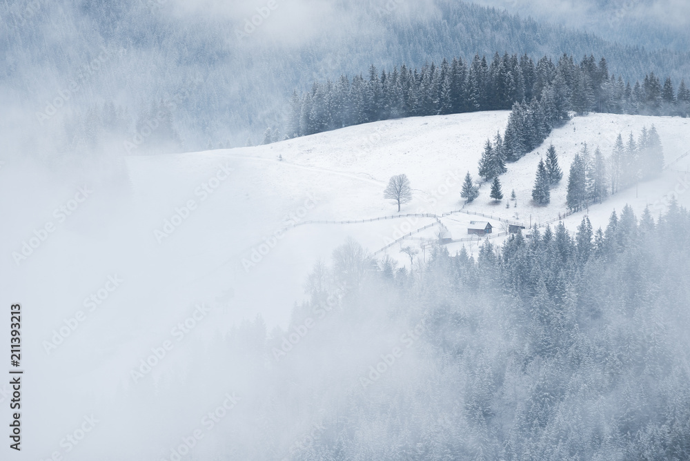 Winter landscape in a mountain village