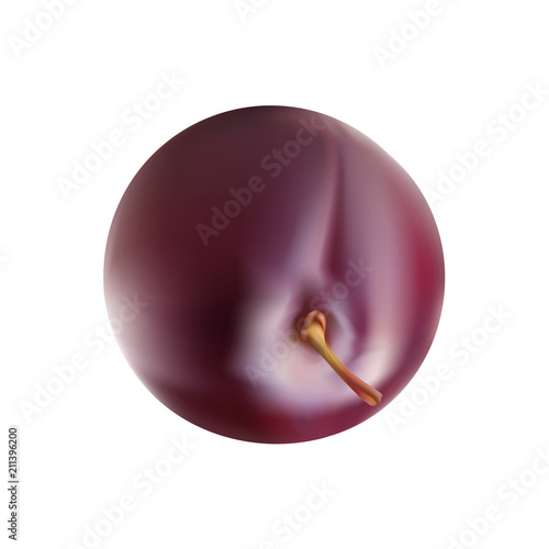 Juicy plum fruit closeup