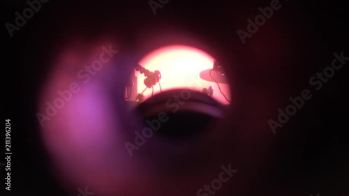 View into the Telescope of Working Old Soviet Ionic-Plasma Deposition Installation