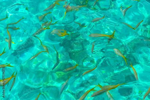 Caribbean sea, island Cayo Largo del Sur