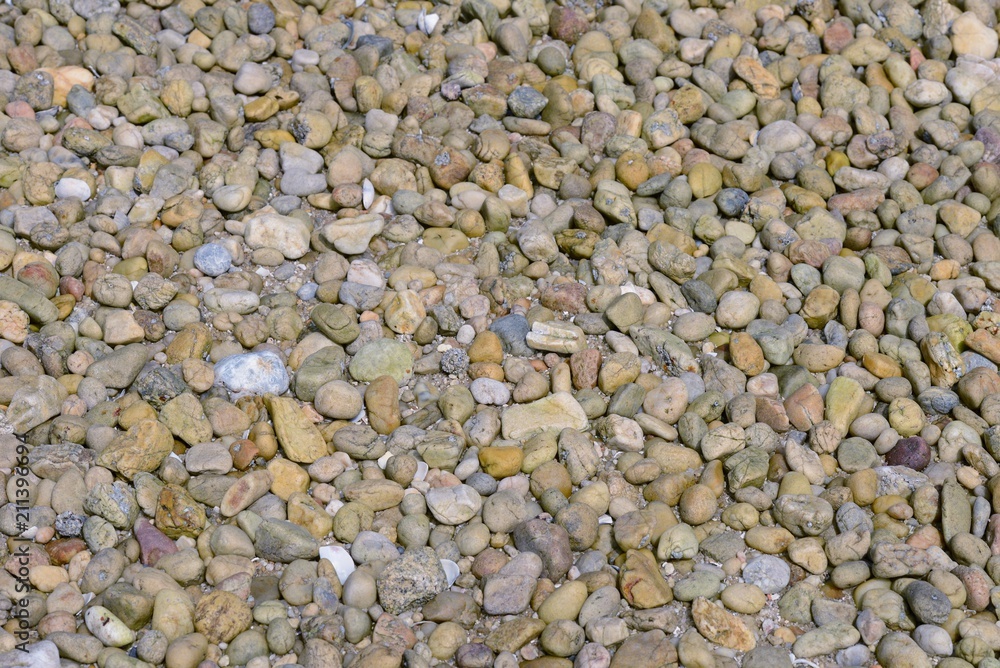 coastal pebbles on the beach close up coastal pebbles on the beach close up