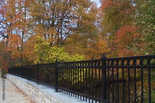 Fall Foliage Bridge