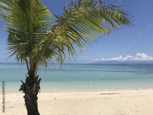 Palm trees on beautiful white sand beach, Modessa Island, Palawan, Philippines