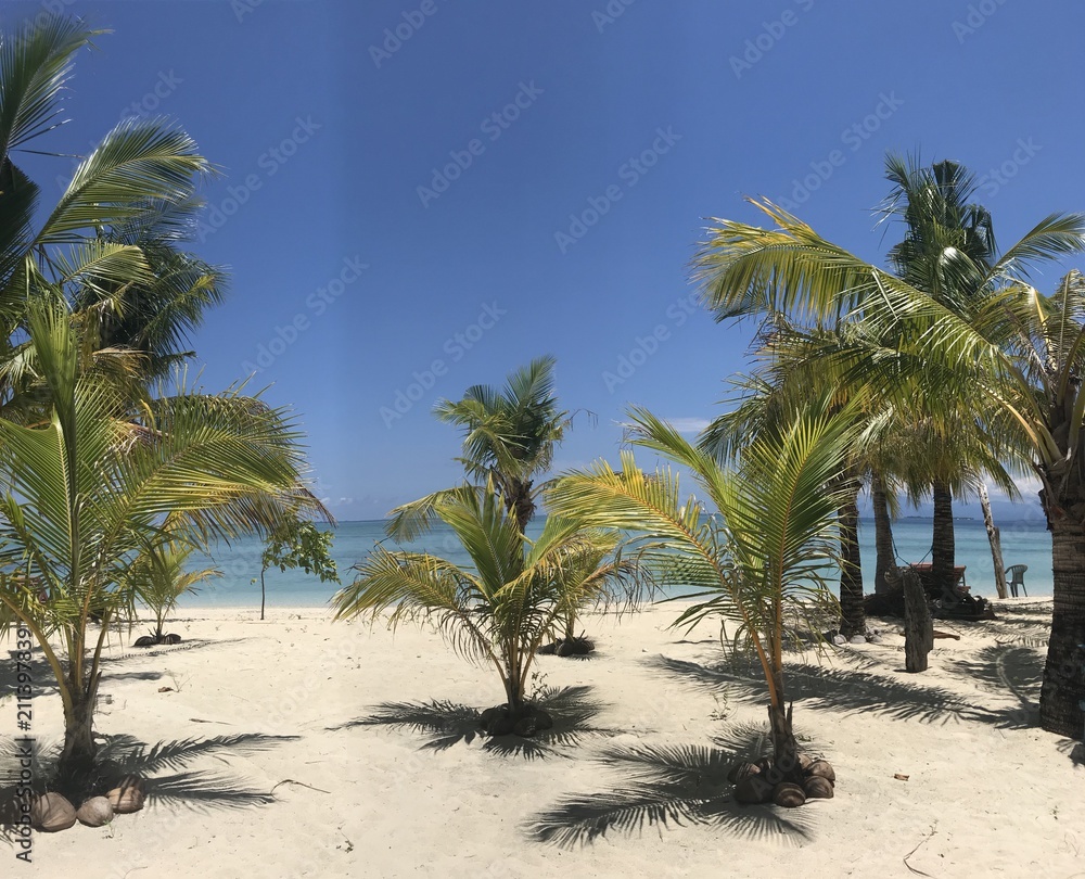 Palm trees on beautiful white sand beach, Modessa Island, Palawan, Philippines Palm trees on beautiful white sand beach, Modessa Island, Palawan, Philippines