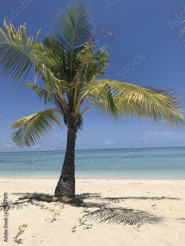 Fototapeta Naklejka Na Ścianę i Meble -  Palm trees on beautiful white sand beach, Modessa Island, Palawan, Philippines