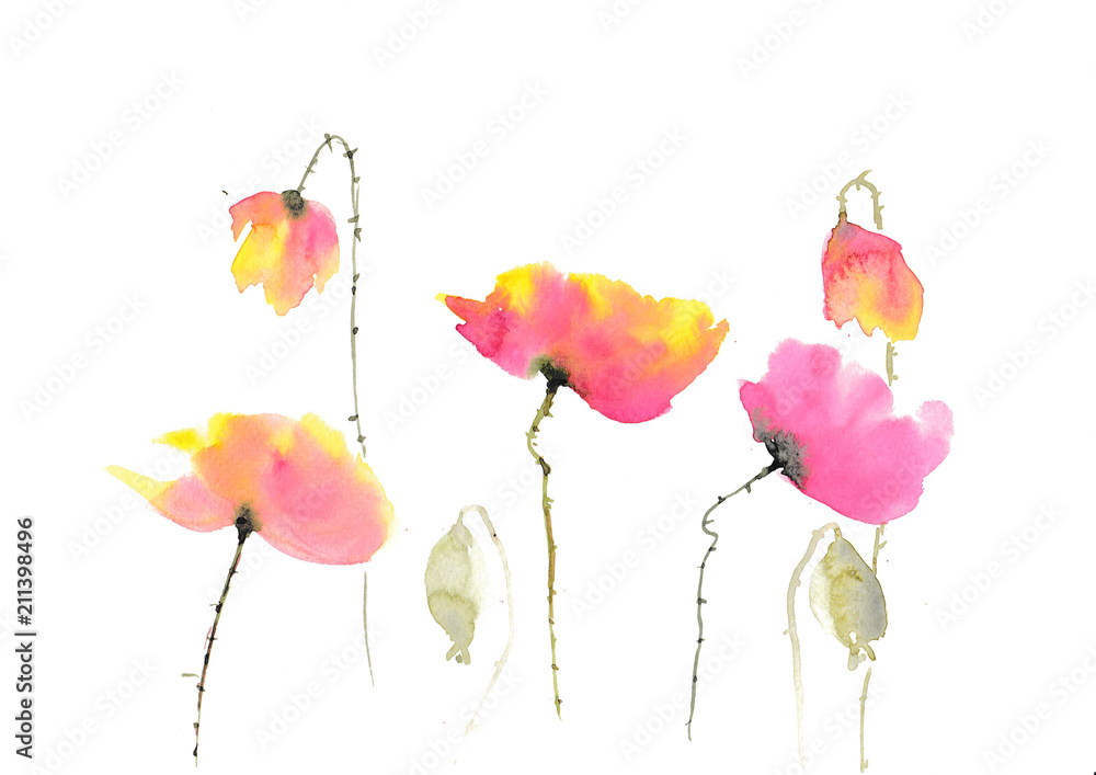 Stylized poppies on white background, watercolor illustrator, hand painted, floral art