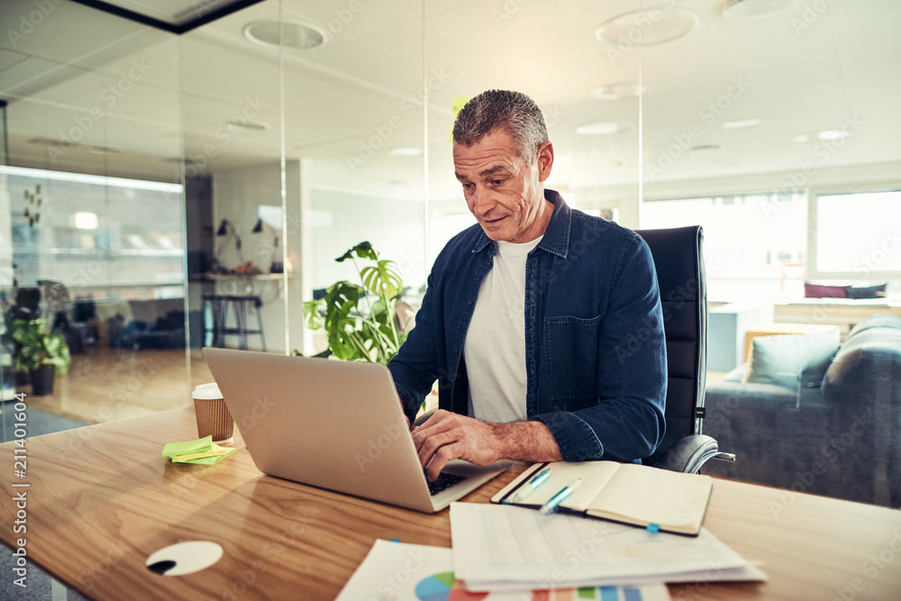 Mature businessman sitting in an office working with a laptop Mature businessman sitting in an office working with a laptop