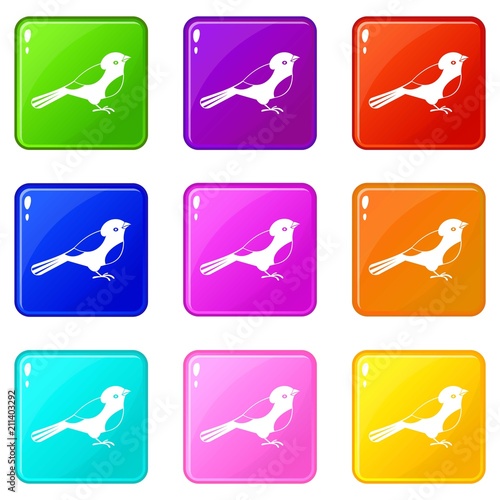 Bird icons of 9 color set isolated vector illustration