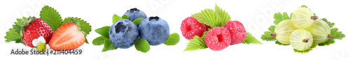 Sammlung Beeren Erdbeeren Blaubeeren Himbeeren Früchte in einer Reihe isoliert Freisteller freigestellt