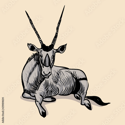 Oryx side view pose. Hand drawn realistic illustrations isolated on background. Vector doodle design. Savannah animals