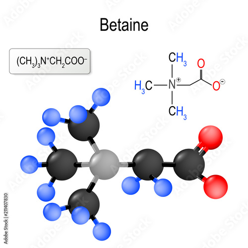 Betaine. Structure of a molecule.